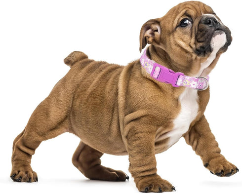 Girl Dog Collar with Purple Floral Patterns, Adjustable Cute Soft Pet Collar with Quick Release Buckle for Small Medium Large XL Dogs (Purple Flow...