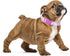 Girl Dog Collar with Purple Floral Patterns, Adjustable Cute Soft Pet Collar with Quick Release Buckle for Small Medium Large XL Dogs (Purple Flow...