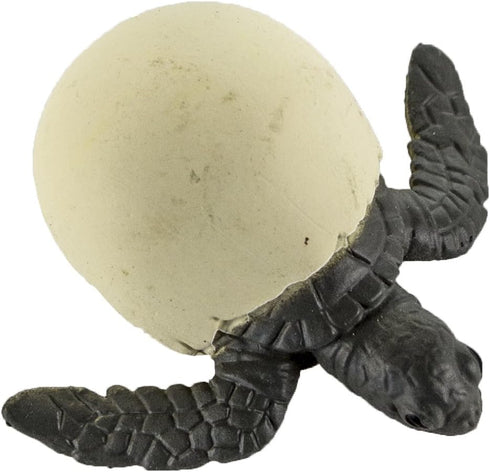 Safari Ltd. Life Cycle of a Green Sea Turtle - Educational Toy Figurines - Miniature Turtle Lifecycle Collection for Boys, Girls & Kids Age 4+...