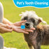 50 Oral Cleaner Swabs Disposable Sponge - Toothettes Mouth Swabs Swabsticks for Elderly Dry Mouth Waterless Toothbrushes on the go Mini Pet Childr...
