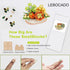 Mini Bloomscape DIY Succulent Building Kit - Create Your Botanical Oasis with 389PCS Construction Blocks (Not Compatible with Lego Set)...