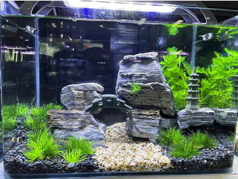 AQUA KT Aquarium Landscape Foreground Grass Seaweed Green Plants for Marine Freshwater Fish Tank Decoration, Pack of 10...