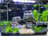 AQUA KT Aquarium Landscape Foreground Grass Seaweed Green Plants for Marine Freshwater Fish Tank Decoration, Pack of 10...