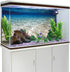 AWERT 72x18 inches Ocean Floor Aquarium Background Underwater Fish Tank Background Undersea Theme Aquarium Background...