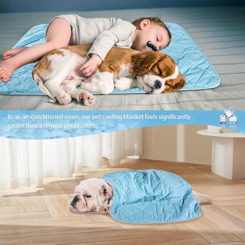 DELIFUR Cat Cooling Blanket - Lightweight Pet Cooling Blanket Bed Cover for Summer Self Cooling Mat for Small Dogs Throw Blanket for Kennel Sofa C...