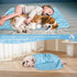 DELIFUR Cat Cooling Blanket - Lightweight Pet Cooling Blanket Bed Cover for Summer Self Cooling Mat for Small Dogs Throw Blanket for Kennel Sofa C...
