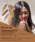 Cedarwood Himalayan Essential Oil – 8 fl oz (237 ml) Aluminum Bottle w/Plug Cap – 100% Pure Essential Oil – GreenHealth...