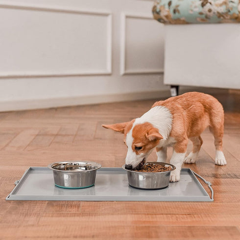 PEGGY11 Deep Stainless Steel Anti-Slip Dog Bowls - Single Pack, 3 Cups...