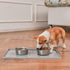 PEGGY11 Deep Stainless Steel Anti-Slip Dog Bowls - Single Pack, 3 Cups...