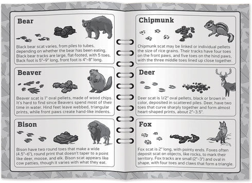 Masterpieces Jr Ranger Poop Tracks Card Game, Ages 6+, 2-6 Players, Medium...