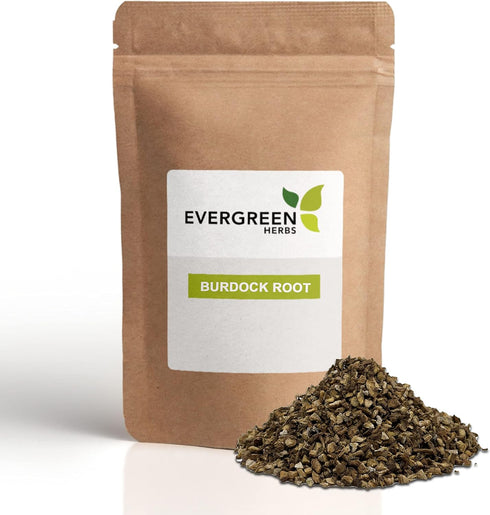 Burdock Root Cut & Sifted - 8 oz. (227 grams) - Arctium lappa - Wildcrafted Burdock Root - Resealable Bag to Ensure Freshness...