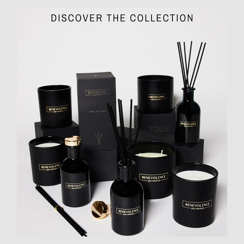 Benevolence LA Rose & Sandalwood Scented Candle | Soy Candles, Black Candle for Home | Gifts for Women and Men | Home Fragrance | Aromatherapy | 8...