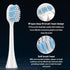 A2 Electric Toothbrush Replacement Brush Heads, Wide Toothbrush Heads W Shape, Large Size, 4 Pack...