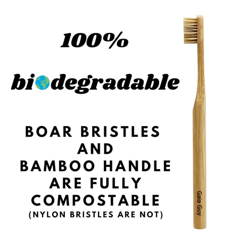 Gaia Guy Natural Bristle Bamboo Toothbrush (NO Nylon - Boar Hair ONLY) - Totally Compostable & Biodegradable Boar Bristle and Bamboo Toothbrushes ...