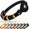 OOPSDOGGY Rolled Leather Dog Collar with Airtag Holder - Reflective Round Airtag Dog Collar - Soft Tracking Pet Collar for Small Dogs Puppy Cats K...