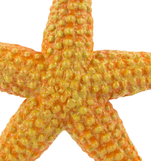 Safari Ltd. Starfish Figurine - Vibrant 4.5" Sea Star Figure - Educational Toy for Boys, Girls, and Kids Ages 3+...