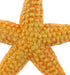 Safari Ltd. Starfish Figurine - Vibrant 4.5" Sea Star Figure - Educational Toy for Boys, Girls, and Kids Ages 3+...