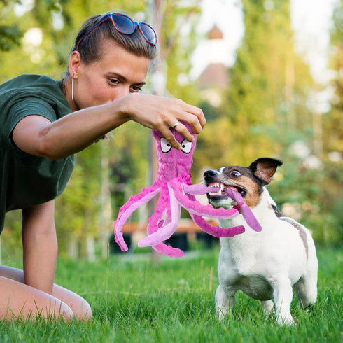 Alphatool Squeaky Dog Toys, Octopus Toys for Aggressive Chewers, Tough No Stuffing Plush Large Dogs, Crinkle Interactive Puppy Small Medium Dogs (...