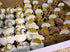 24 PCS Gold Glitter Beer Mug Cupcake Toppers Food Cake Picks Party Decor...