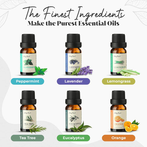 Essential Oils Set - Top 6 Aromatherapy Oils Perfect for Diffuser, Humidifier, Candle Making, Essential Oil Home Gifts Set, Eucalyptus, Lavender, ...