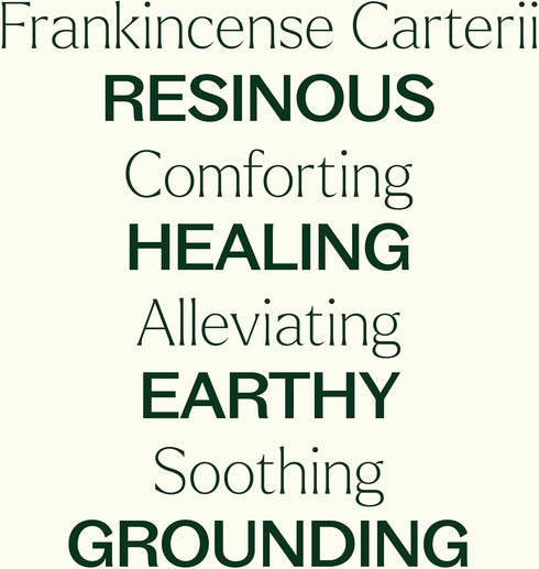Plant Therapy Frankincense Carterii Essential Oil 100% Pure, Pre-Diluted Roll-On, Natural Aromatherapy, Therapeutic Grade 10 mL (1/3 oz)...