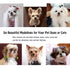 3 Pcs Dog Comb Pet Cat Grooming Combs for Matted Shedding or Knotted Hair, Stainless Steel, Medium Coarse, TuNan Metal Anti Knot Hair Combs for Sm...
