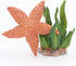 Gemini&Genius Starfish Toys for Kids, Realistic Starfish Action Figure, Starfish Figurine Toy, Under The Sea Life Figure Educational Gifts, Displa...