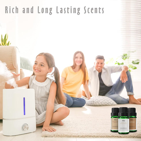 Fragrance Oils, MitFlor Winter Essential Oils for Home Diffusers, Soap & Candle Making Scents, Premium Holiday Aromatherapy Gift Set, 6 x10ml-Wint...