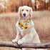 Sunflower Vintage Dog Bandana Scarf Triangle Bibs Pet Accessories Cat Kerchief...