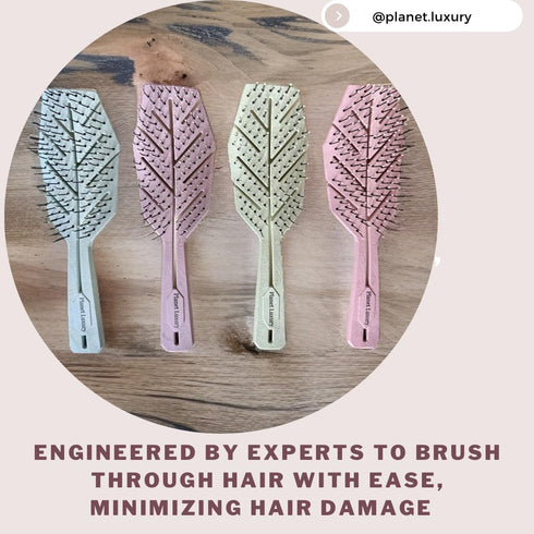 Eco-Friendly Hair Brush w/Extra Soft Bristles, Detangler Hairbrush, Vented, Wet and Dry Hair For Women, Kids, Curly, Straight, Fine Hair Brush (Sk...
