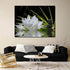 Canvas Wall Art - White Lotus and Black Zen Stones Picture - Modern Wall Decor Gallery Canvas Wraps Giclee Print Stretched and Framed Ready to Han...