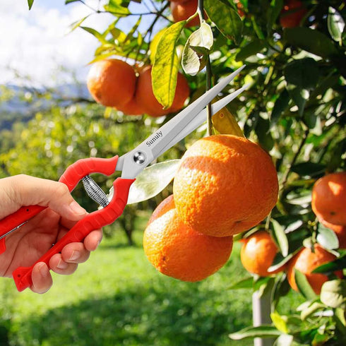 Extra Long Pruning Shears, Gardening Hand Pruners with Stainless Steel Blades, Garden scissors for Arranging Flowers, Trimming Plants, Harvesting ...
