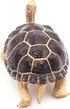 Giant Tortoises Large Turtle Safari Animal Toys Wildlife Figurines Collection, Educational Toys for Kids, Outdoor Garden Statues and Home Decorati...