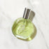 PB ParfumsBelcam Eau Fraiche, Eau De Parfum Spray,Our Version of a Couture Designer 1.7 Fl Oz...