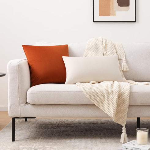 Mixhug Set of 2 Cozy Velvet Square Decorative Throw Pillow Covers for Couch and Bed, Burnt Orange, 18 x 18 Inches...