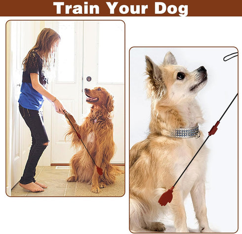 CANIPHA Silicone Puppy Training Tools, Foldable and Easy to Carry Dog Training Tool, Dog Accessories Agility Training Equipment for Dogs, Puppy Tr...