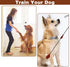 CANIPHA Silicone Puppy Training Tools, Foldable and Easy to Carry Dog Training Tool, Dog Accessories Agility Training Equipment for Dogs, Puppy Tr...