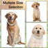 Dog Chain Diamond Cuban Collars Dog Training with Design Secure Buckle, Pet Crystal Necklace Accessories for Small Medium Large Dogs Cats...