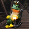 Miniature Frog Garden Statue with Solar Light Home Decor Fairy Garden Accessories Frog Decor for Patio, Balcony, Yard, Lawn Bedroom 2.3"x3.3"x5"...