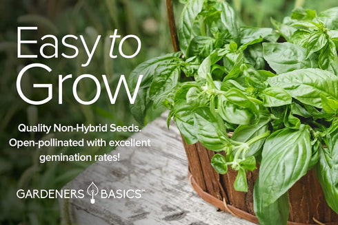 Gardeners Basics, Italian Herb Seeds for Planting 5 Variety Herbs Seed Packets Including Italian Flat Leaf Parsley, Sage, Oregano, Thyme, Basil - ...