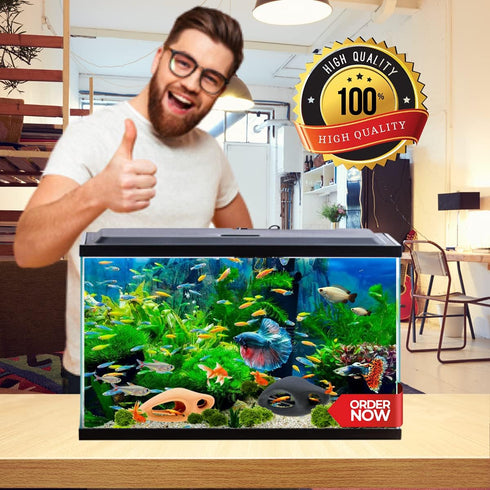 Corisrx Fish Tank...