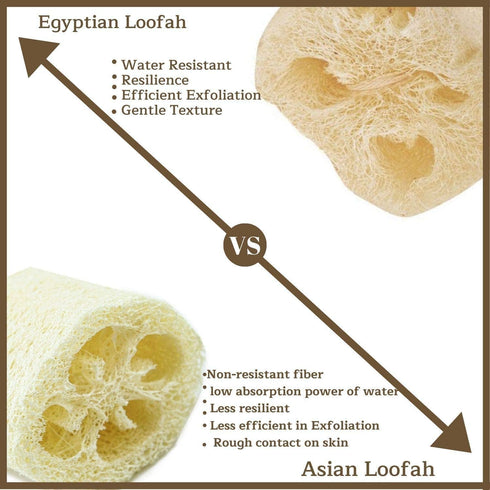 Egyptian Loofah Sponges Natural Exfoliating Body Wash Gourd, Loofah Bath Sponges for Skincare, Exfoliating Back Scrubber (Pack of 3-6.5 in.)...