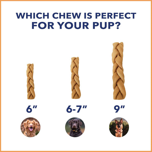 Pet Factory CareChewz Collagen 6-7" Skinny Braided Sticks Dog Chew Treats - Chicken Flavor, 5 Count/1 Pack...