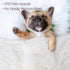 BENRON Medium Dog Blanket for Couch Bed Crate, Cozy Reversible Fleece Dog Blanket, Washable Fluffy Throw Blankets 30x40 Inches Cream White...