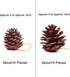 Whaline 25 Pcs 1.6-2.4 Inches Christmas Pine Cones Decoration with String, Natural Rustic Pinecones Bulk Ornaments for Crafting for Home Accent De...