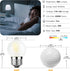 Dimmable 3W LED Bulb Equivalent 25 Watt Light Bulbs, Daylight 5000K, E26 Medium Base, Frosted, 300 Lumens, CRI 90+, G40 3 Watt Edison Bulbs for Ni...
