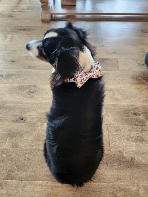 Elegant little tail Independence Day Dog Collar, American Flag Bowtie Dog Collars 4th of July American Pet Gift Adjustable Soft Puppy Collar for M...