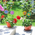 4 Pcs Metal Flower Garden Stakes, 16.3inch Outdoor Garden Decor Metal Flower Stick for Patio, Lawn, Yard, Pathway...