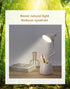 LED Desk Lamp, Desk Light with 3 Light Modes, Stepless Dimming, USB Rechargeable Touch 360 ° Flexible Gooseneck with Pen Holder and Cell Phone Sta...