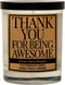 Thank You Candle Gifts for Women - Thank You for Being Awesome - Gratitude and Appreciation Gift, Present for Friends, Mentor, Neighbor, Awesome I...